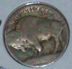 Are-These-1913-Buffalo-Nickels?